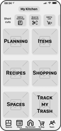 Phone showing a wireframe version of an application's Main Landing screen